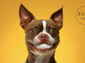 看完这些遗传病，你还想养纯种狗吗